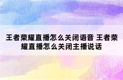 王者荣耀直播怎么关闭语音 王者荣耀直播怎么关闭主播说话